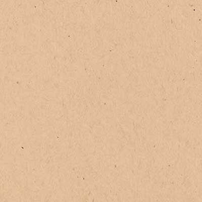 Paper Bag - Cardstock