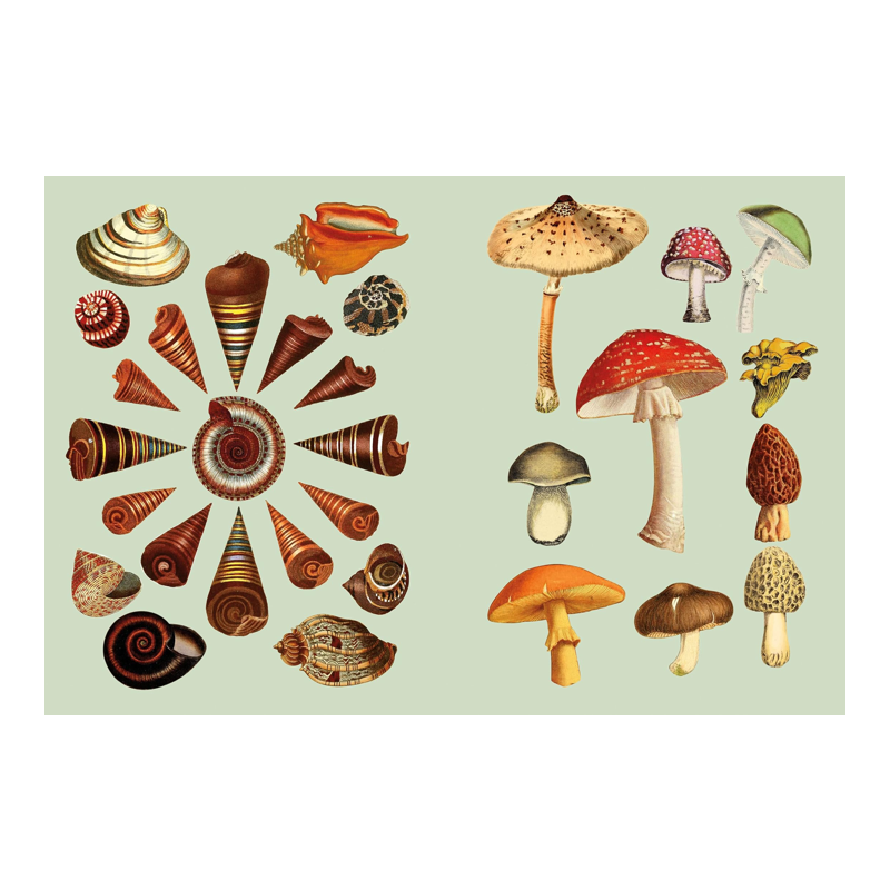 The Antiquarian Sticker Book