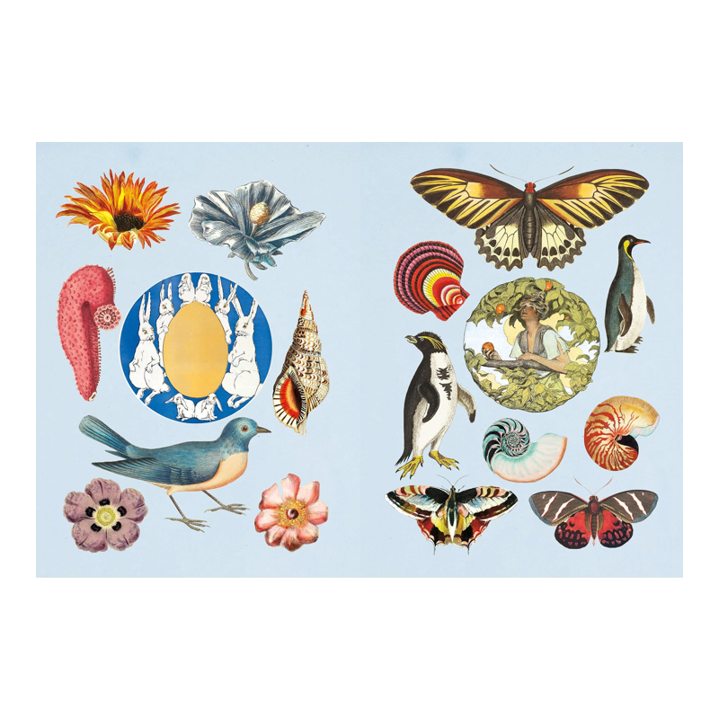 The Antiquarian Sticker Book