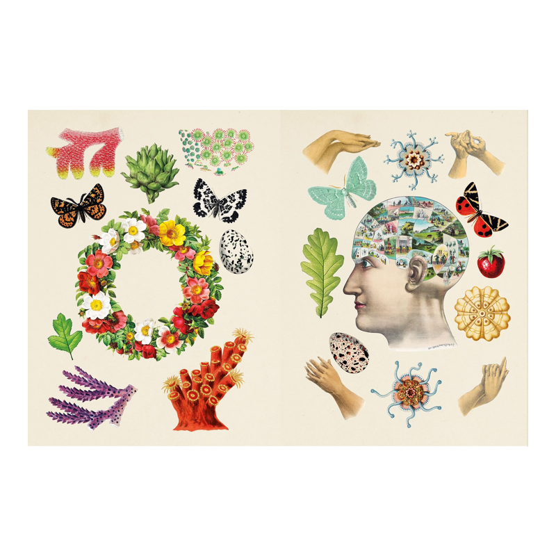 The Antiquarian Sticker Book