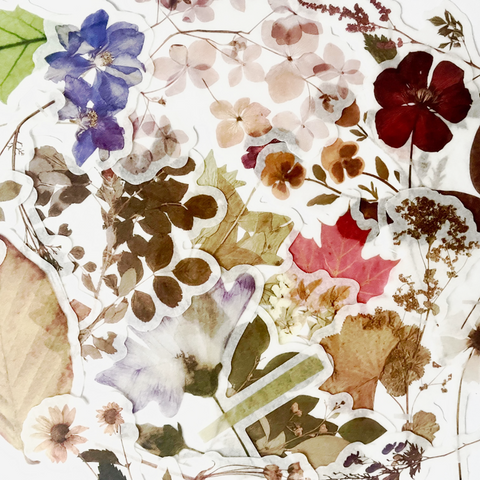 Washi Paper Sticker Set - Autumn Flowers & Leaves