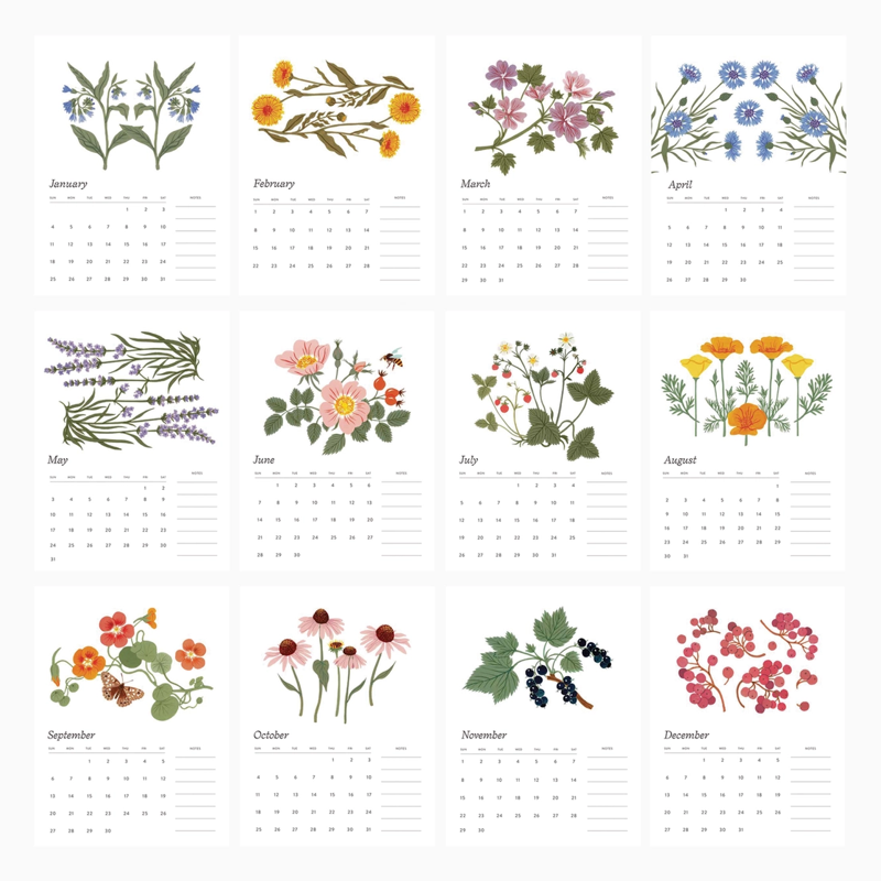 Botanical Art 2026 Desk Calendar