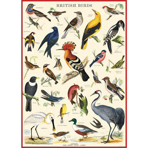 British Birds Poster Wrap