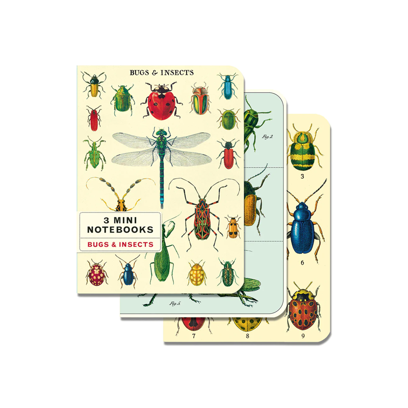 Cavallini Bugs & Insects Notebooks Set/3