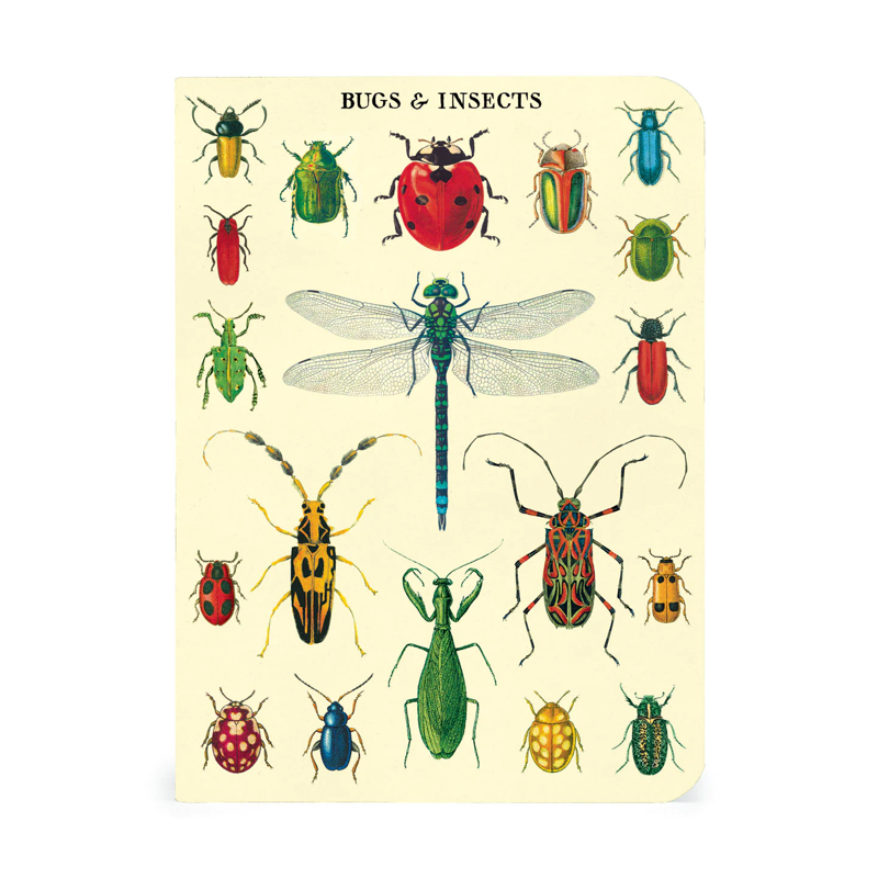 Cavallini Bugs & Insects Notebooks Set/3