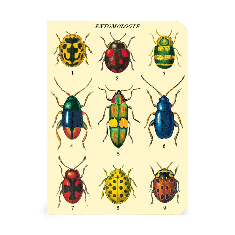 Cavallini Bugs & Insects Notebooks Set/3