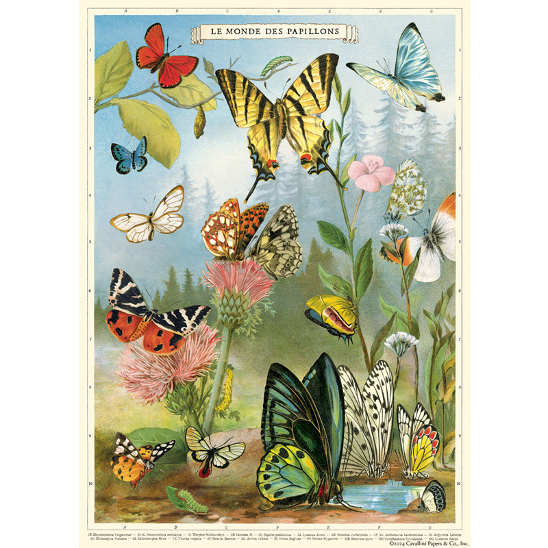 Butterflies 4 Poster Wrap
