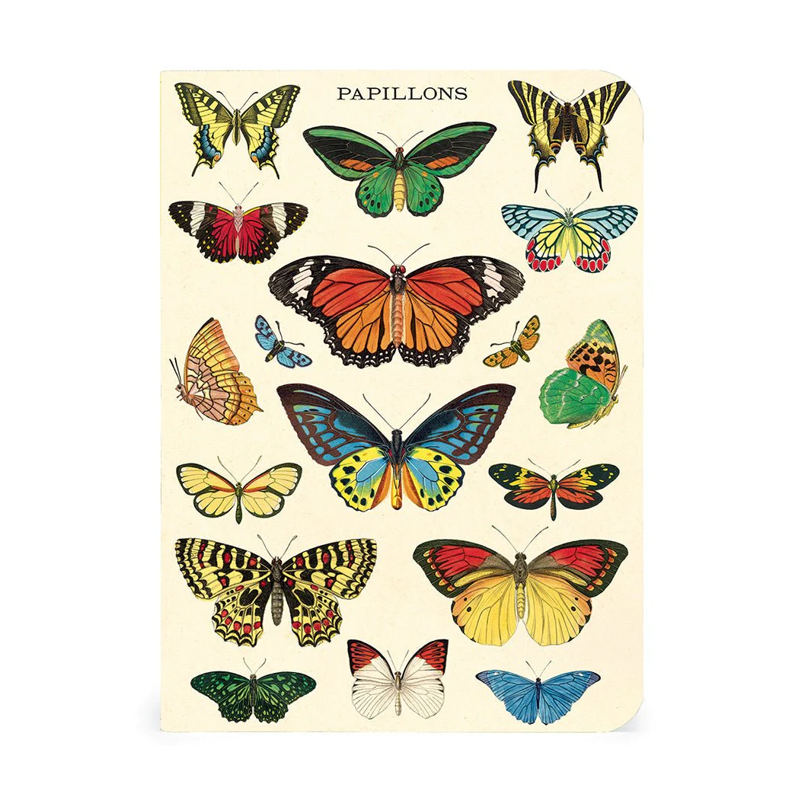 Cavallini Mini Butterflies Notebook Set/3