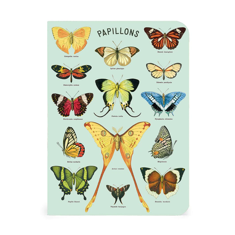 Cavallini Mini Butterflies Notebook Set/3