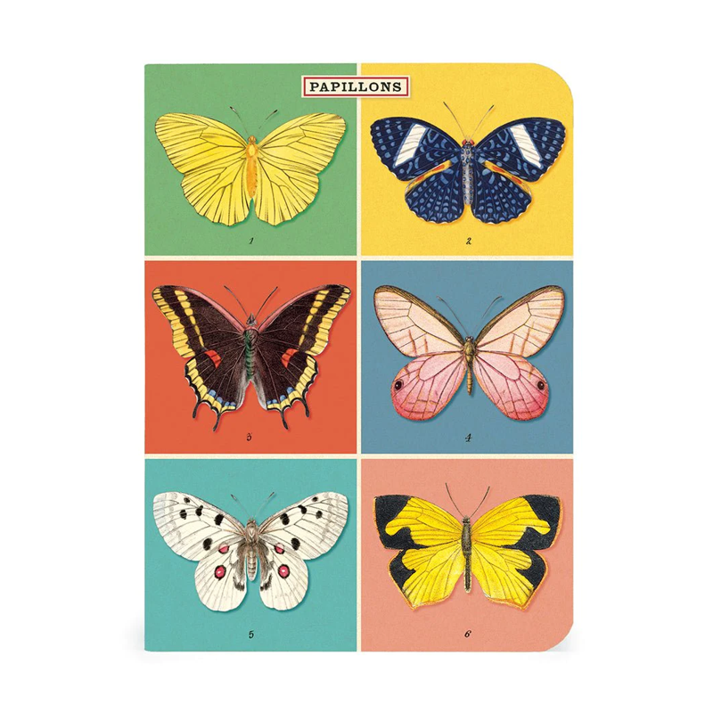 Cavallini Mini Butterflies Notebook Set/3