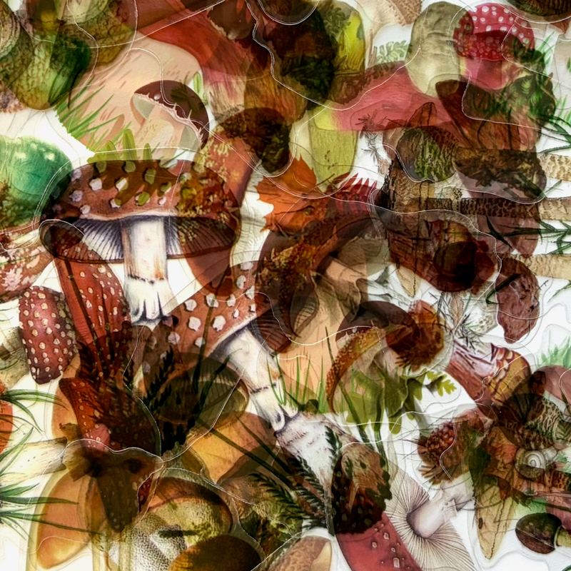 Mushrooms Clear Sticker Set