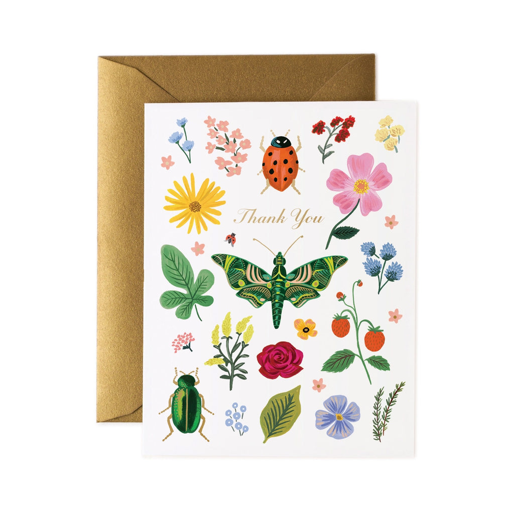 Curio Thank You Single Card