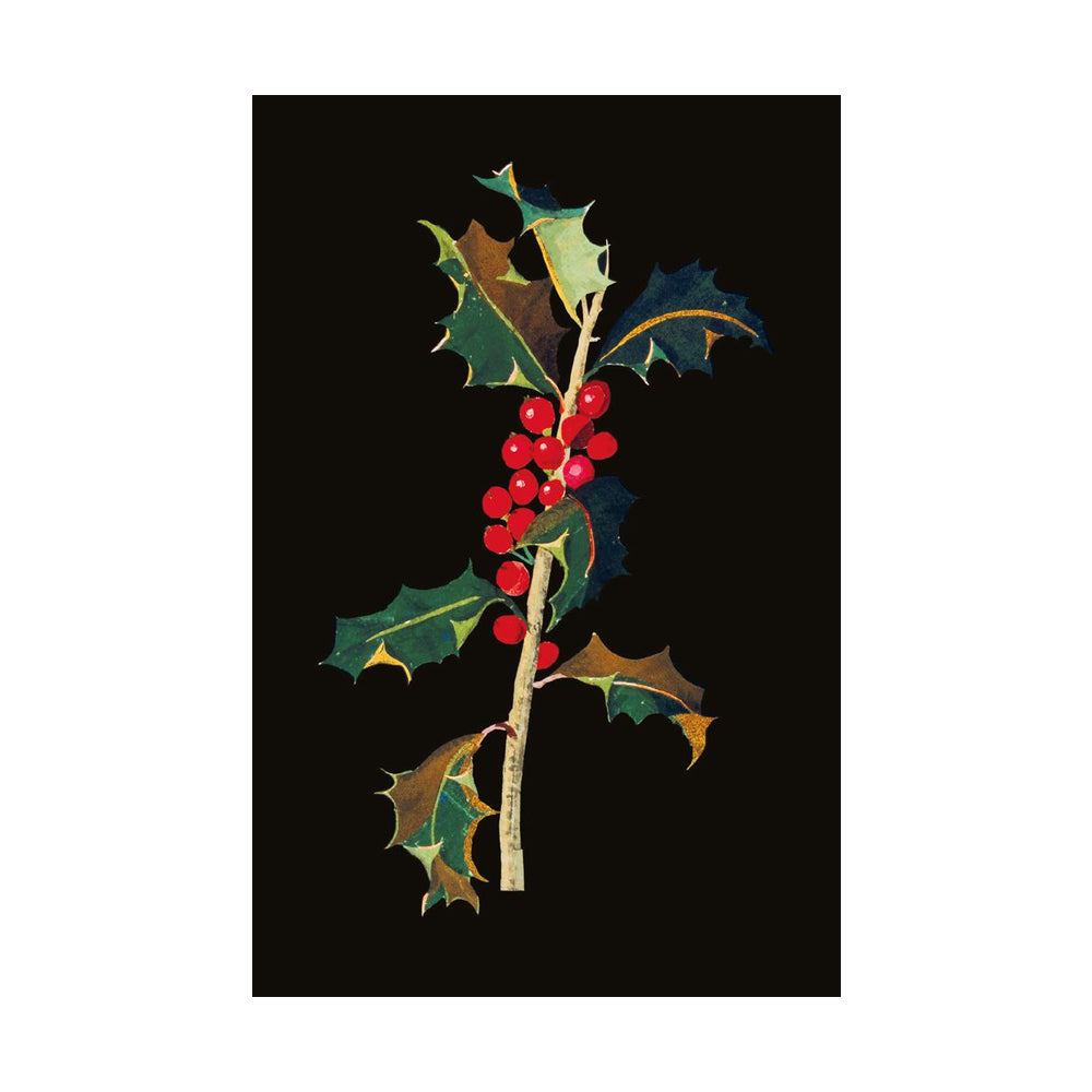 Mary Delany Winter Foliage Boxed Cards