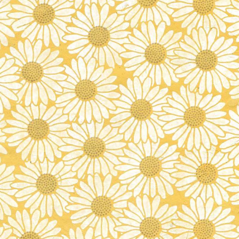 Daisy - White/Gold on Yellow