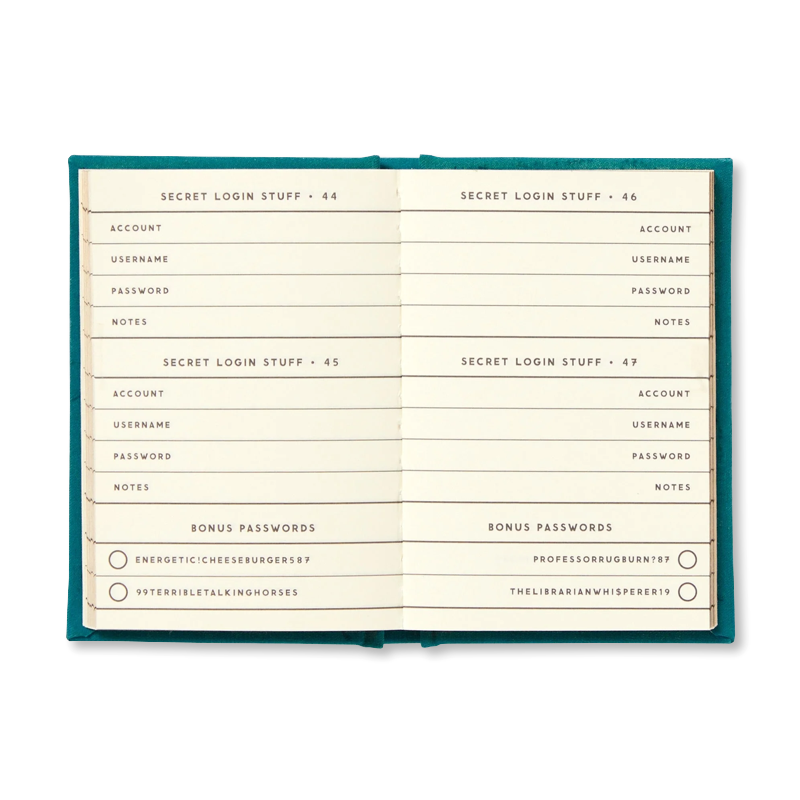 Definitely Not My Passwords Tiny Journal