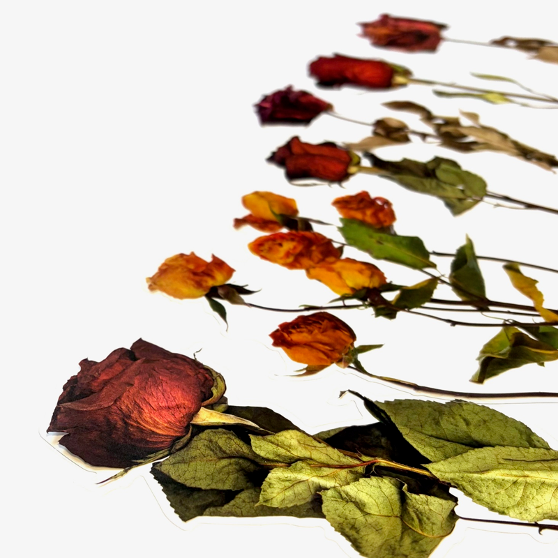Dried Flowers Collage Stickers - Roses