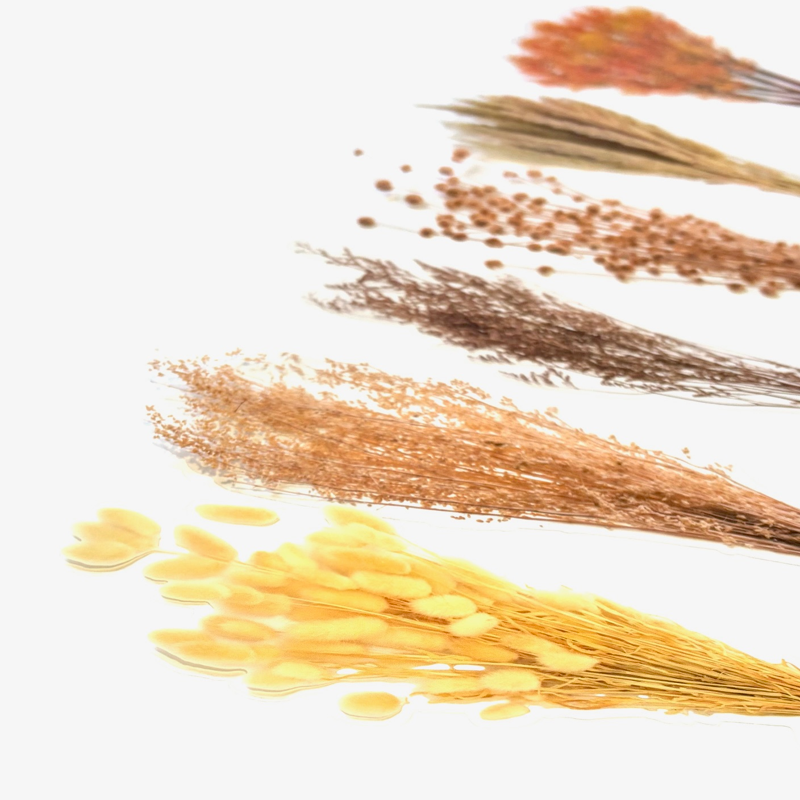 Dried Flowers Collage Stickers - Grass
