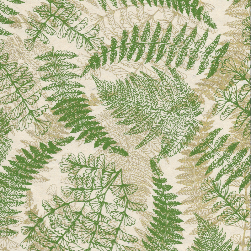 Fern - Gold & Olive on Cream