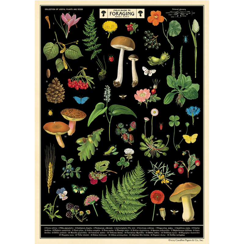 Field Guide To Foraging Poster Wrap