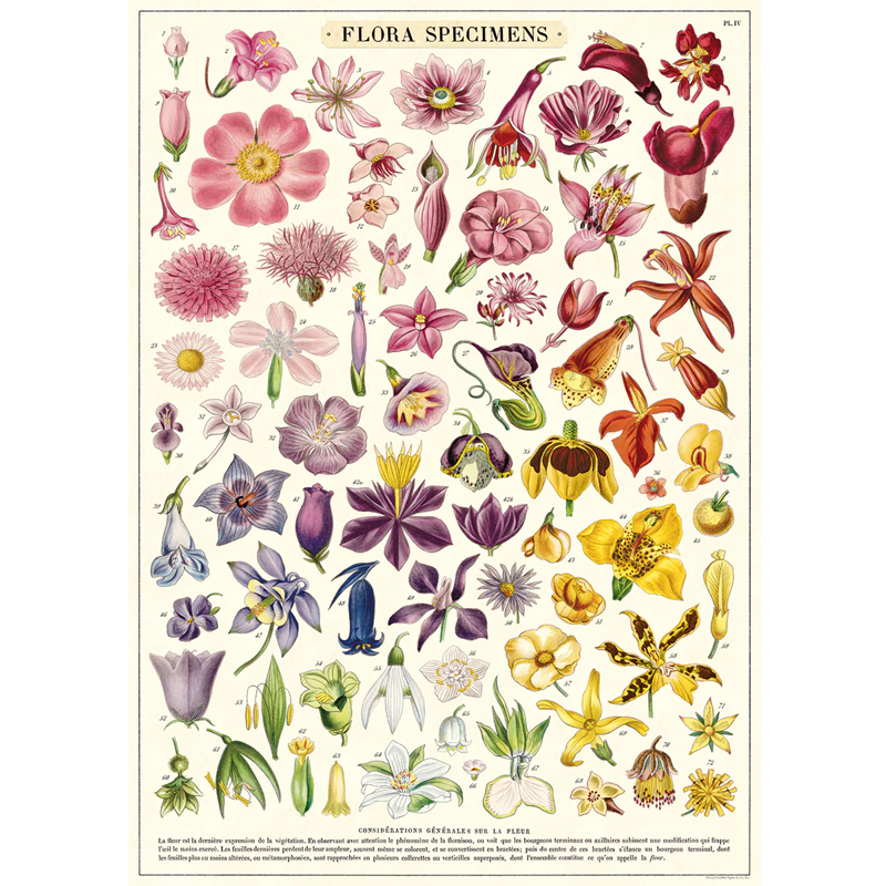 Flora Specimens Poster Wrap