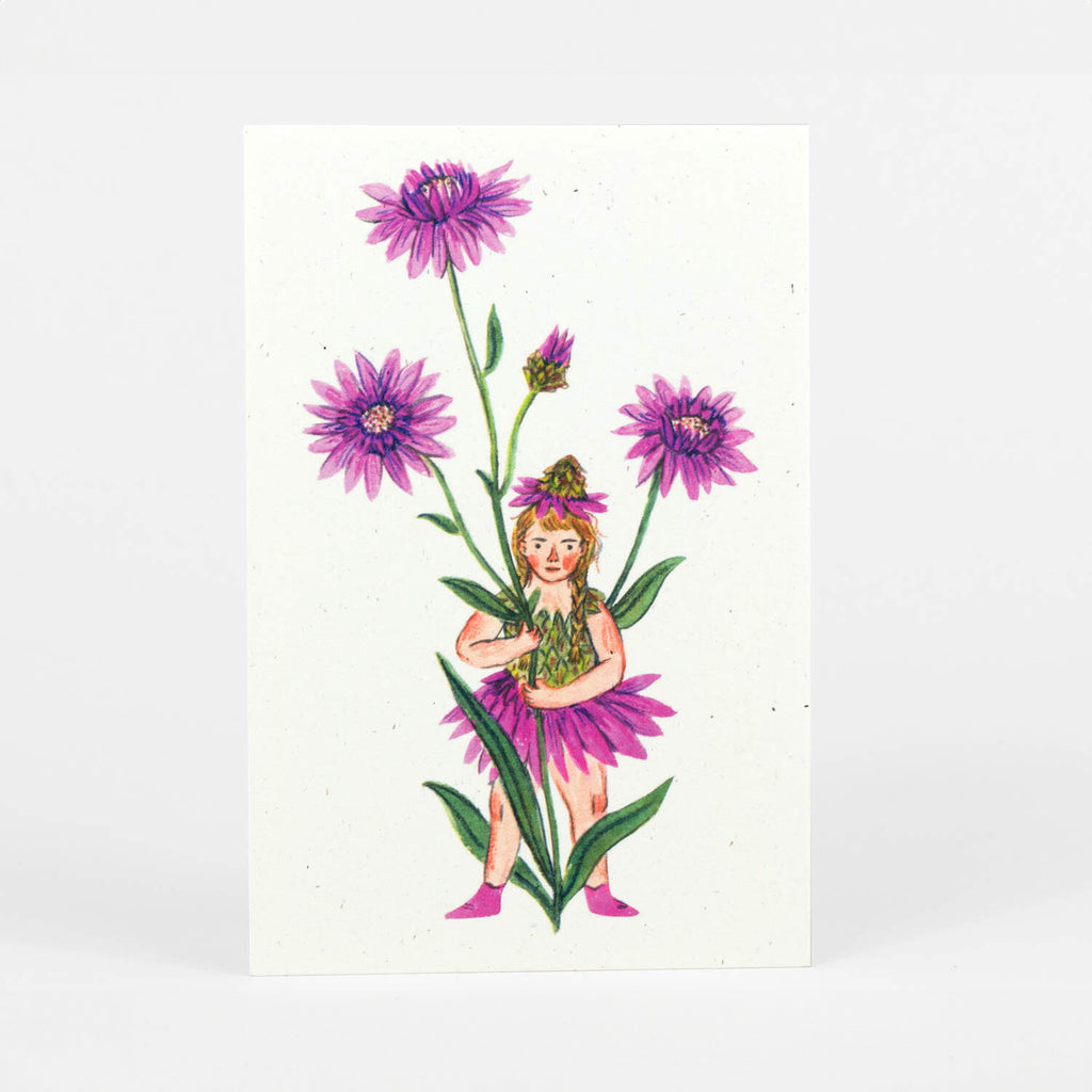 Flower Fairies Postcards - set of 12