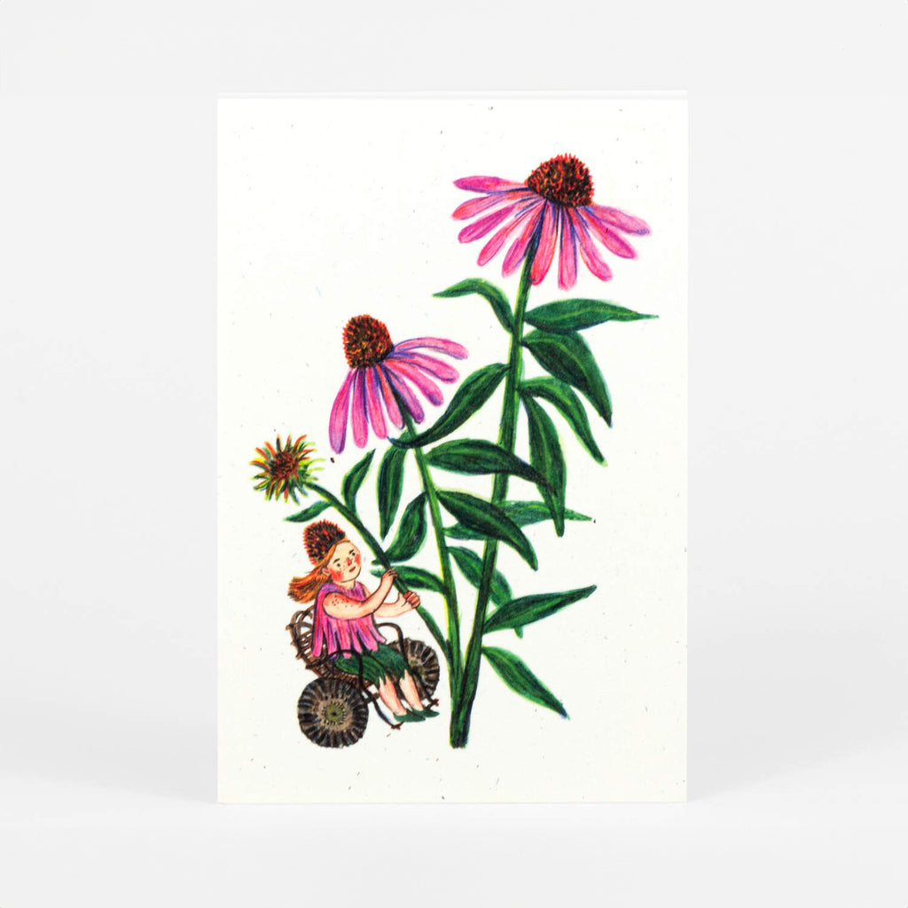 Flower Fairies Postcards - set of 12