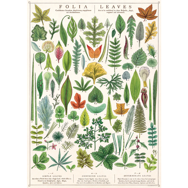 Folia Leaves Poster Wrap