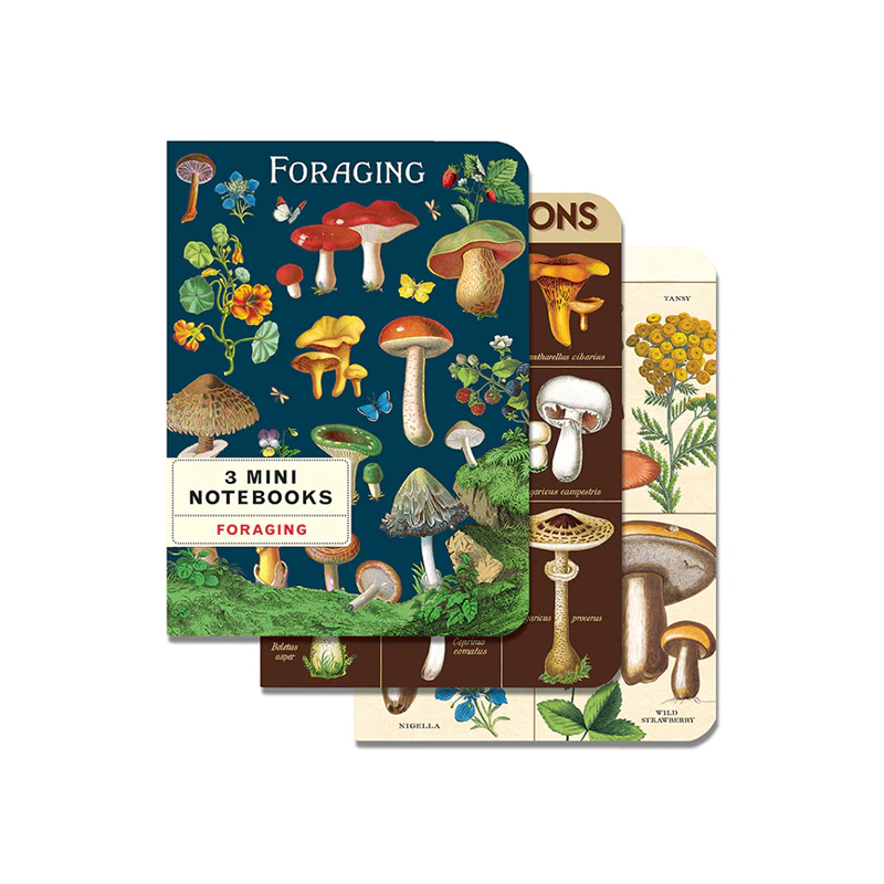 Cavallini Mini Foraging Notebook Set/3