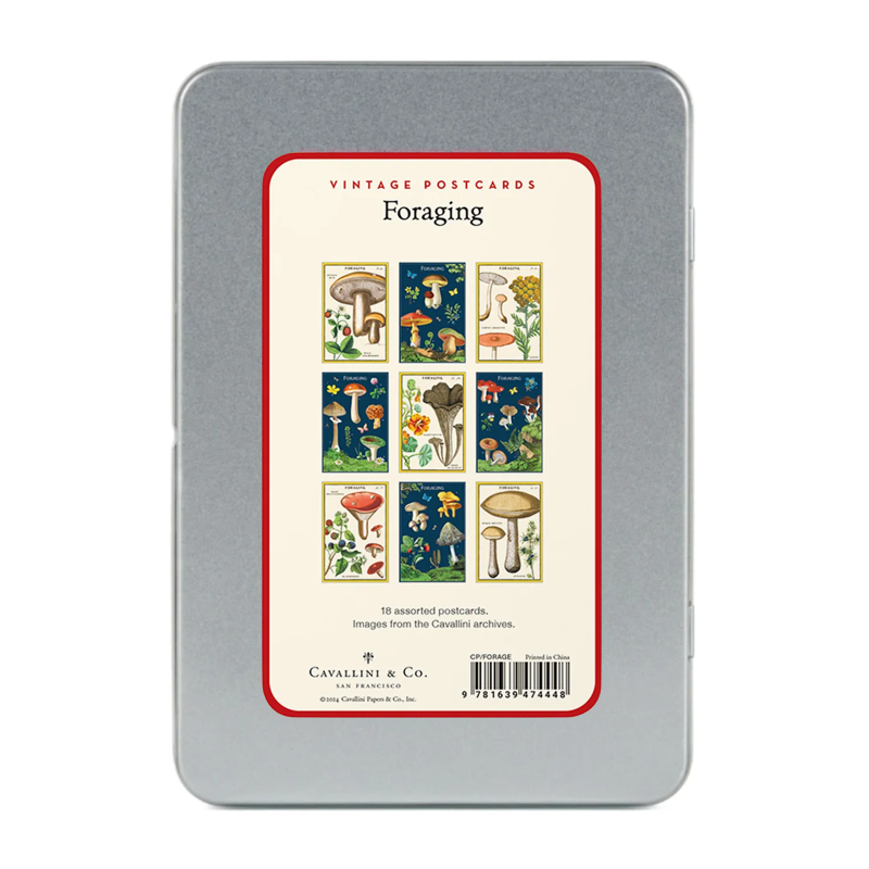 Foraging Postcard, set/18