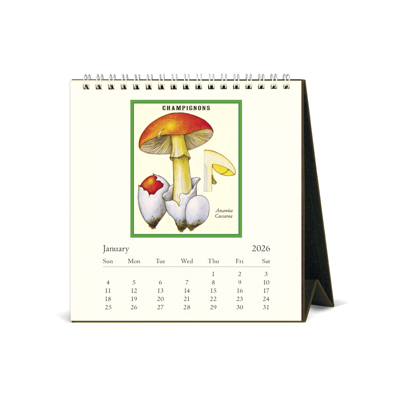 2026 Foraging Desk Calendar
