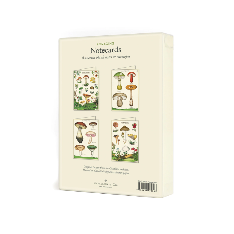 Foraging Assorted Set of 8 Notecards