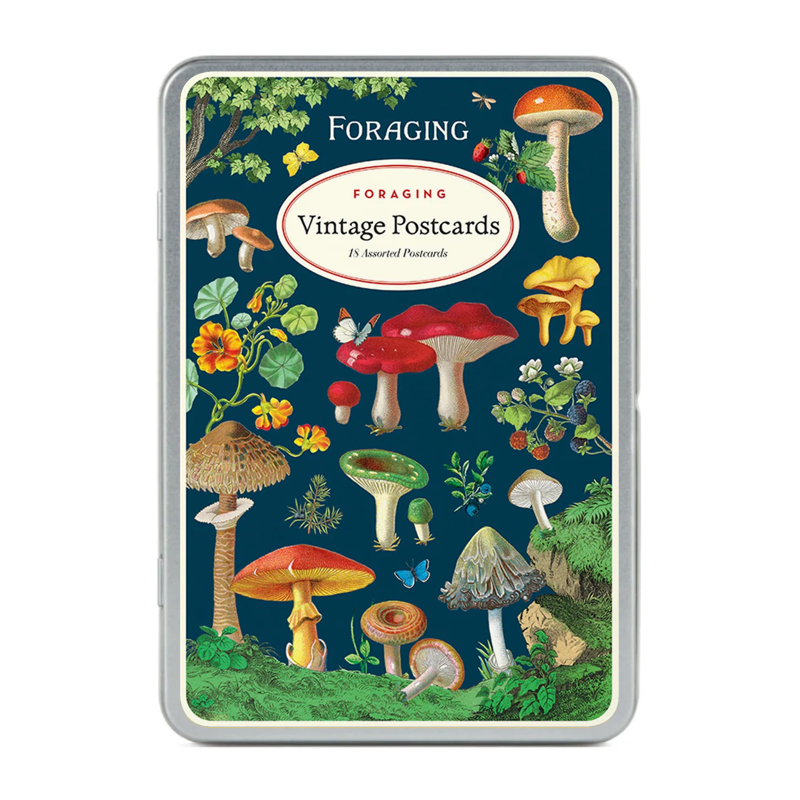 Foraging Postcard, set/18