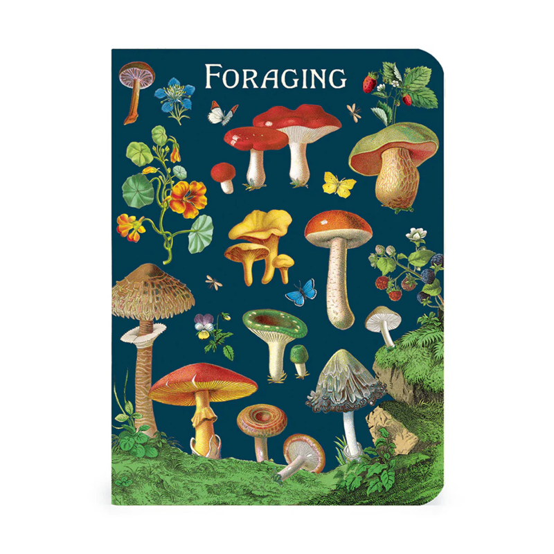 Cavallini Mini Foraging Notebook Set/3