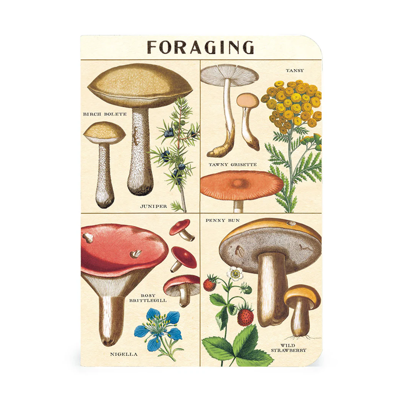 Cavallini Mini Foraging Notebook Set/3