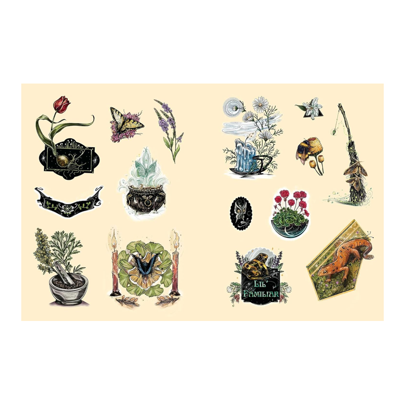 The Green Witch's Sticker Book