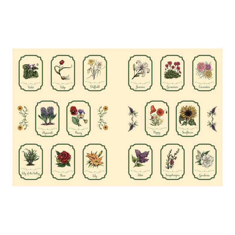 The Green Witch's Sticker Book