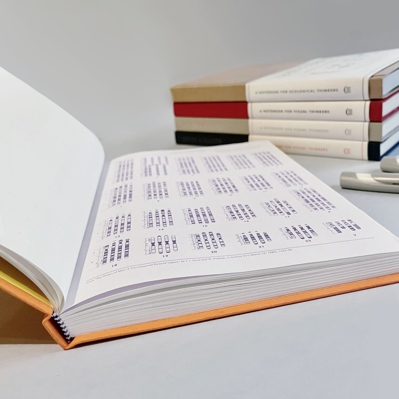 Grids & Guides - Orange