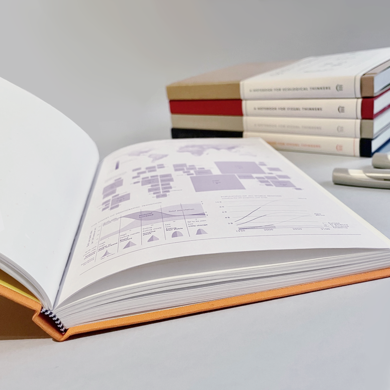 Grids & Guides - Orange