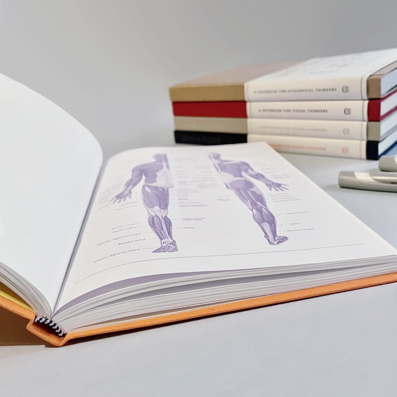 Grids & Guides - Orange