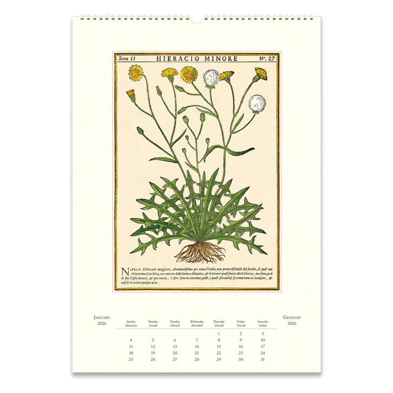 2026 Herbarium Wall Calendar