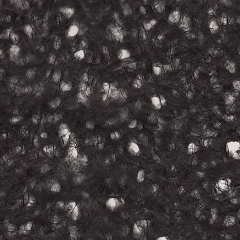 Ogura Lace - Black