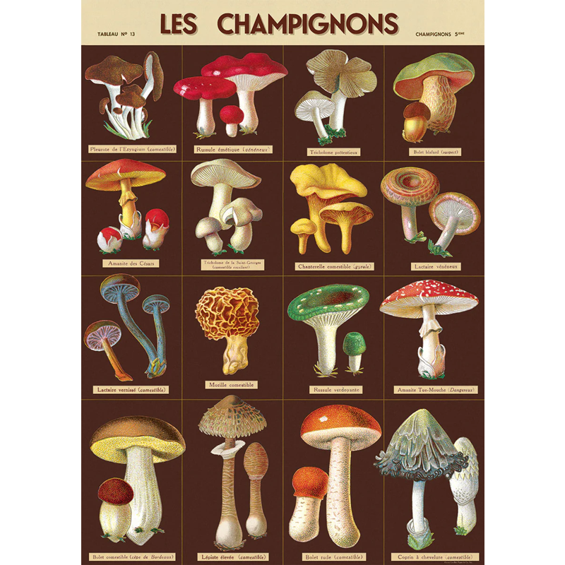 Les Champignons Poster Wrap