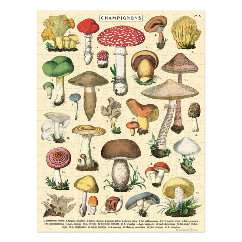 Mushroom Mini Puzzle, 240pc