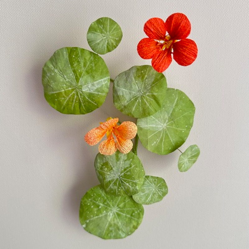 Crepe Paper Nasturtium Workshop with Jessie Chui