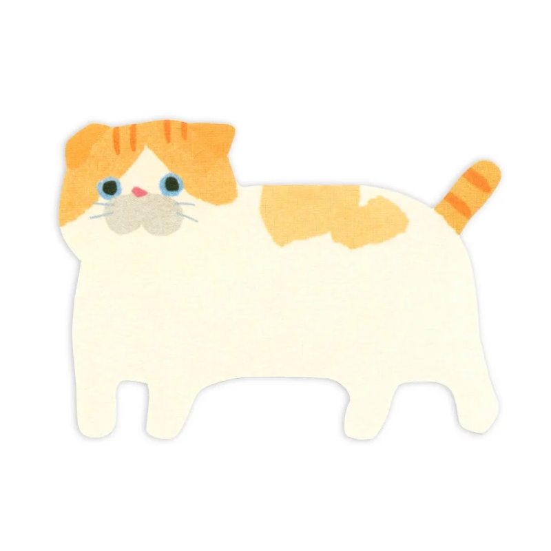 Mini Message Card Set - Orange Cat