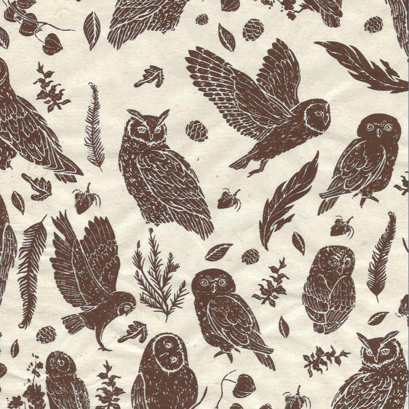 Owl - Chocolate on Cream