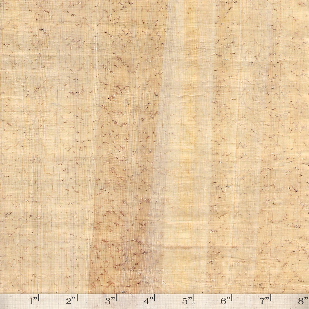 Flecked Papyrus