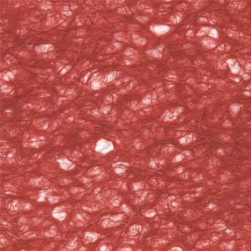 Ogura Lace - Cardinal Red