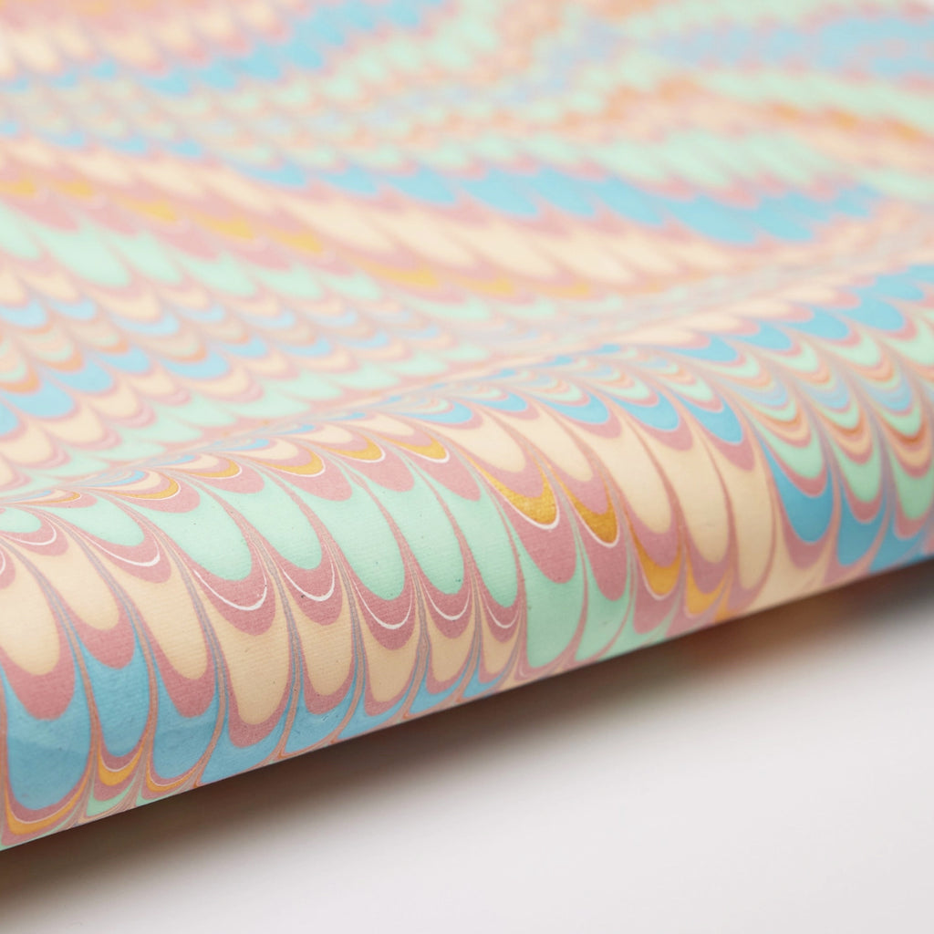 Scallops - Mint Rose