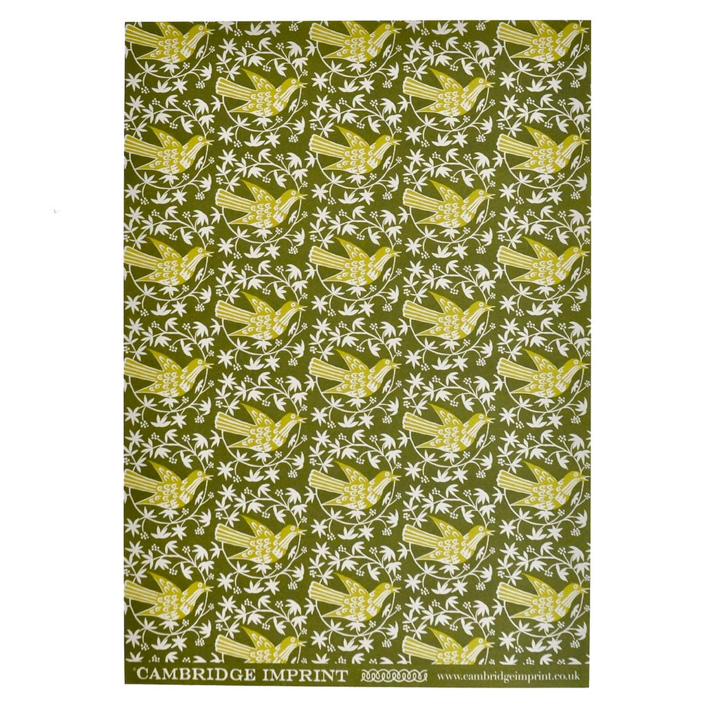 Moss Songbird Patterned Paper Gift Wrap